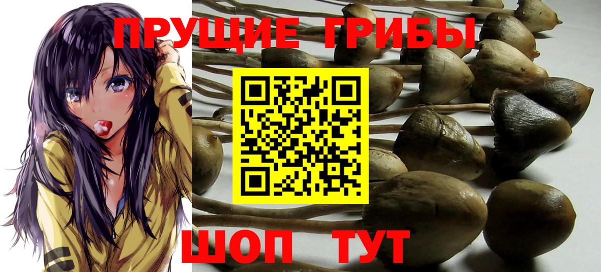 Галлюциногенные грибы Cubensis  Вход с VPN  Джанкой 